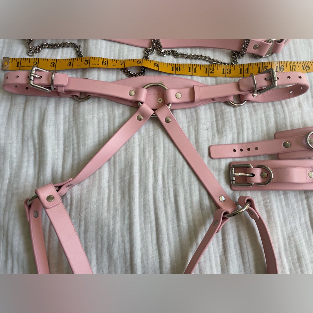Anoeses Leather Pink Terra bondage Lingerie Set - Picture 15 of 17